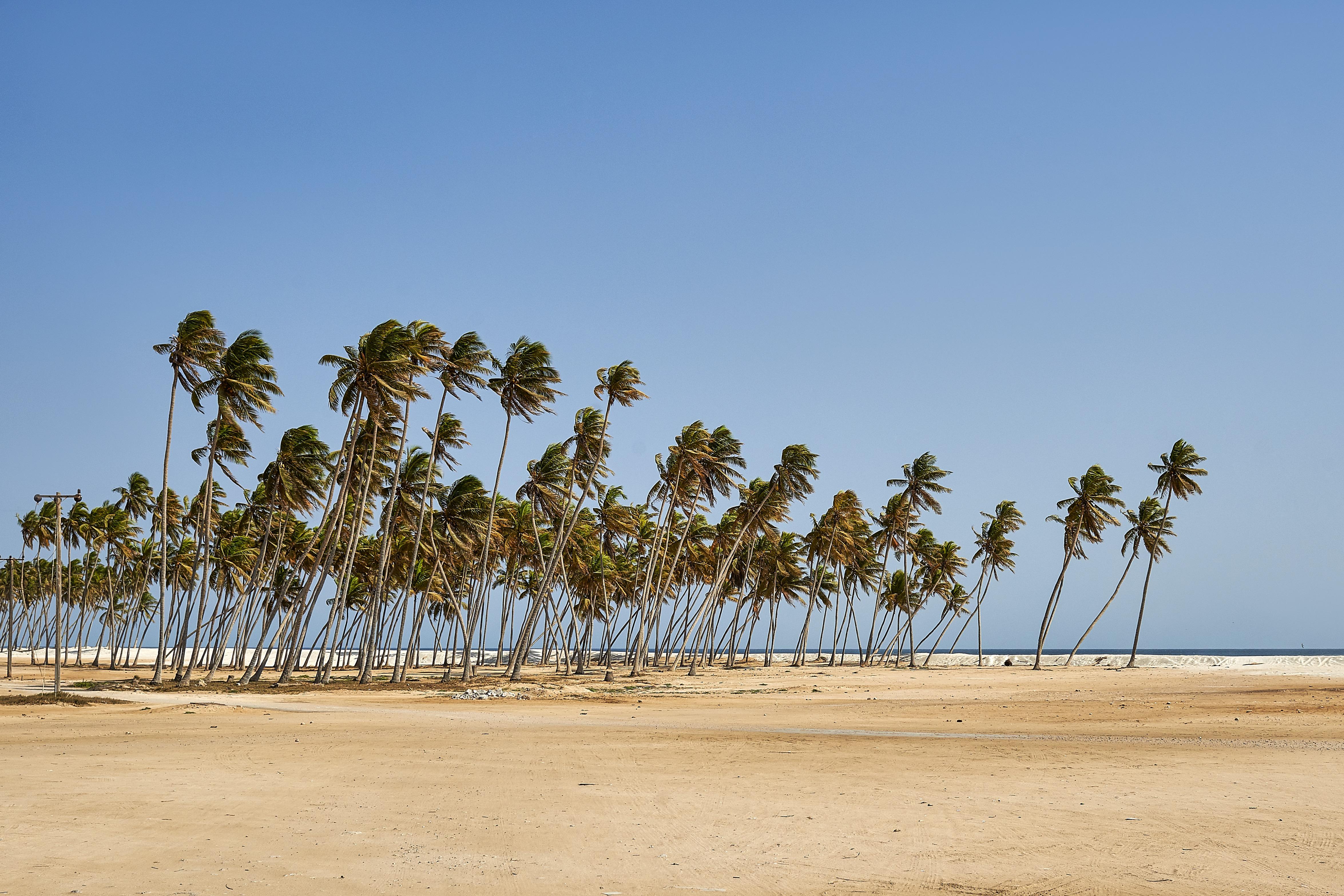 Salalah Gardens Hotel Managed By Safir Hotels & Resorts Eksteriør bilde